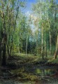 birch grove 1875 classical landscape Ivan Ivanovich trees